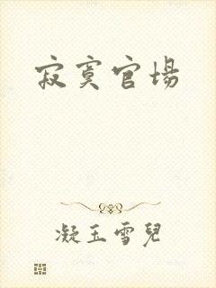 寂寞官场