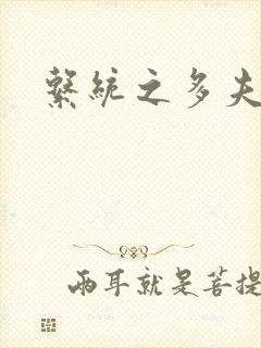 系统之多夫HP封面