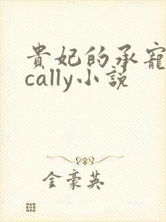 贵妃的承宠日常cally小说封面