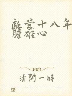 敌营十八年2虎胆雄心封面