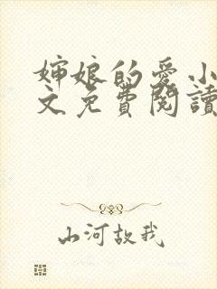 婶娘的爱小说全文免费阅读