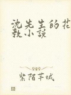沈先生的花式管教小说