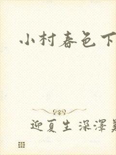 小村春色下载