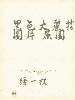 黑色大丽花真实图片 原图