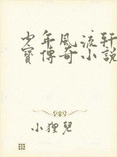 少年风流轩辕大宝传奇小说