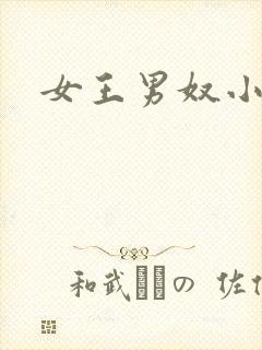 女王男奴小说