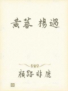 黄蓉 杨过封面