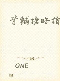 首辅攻略指南