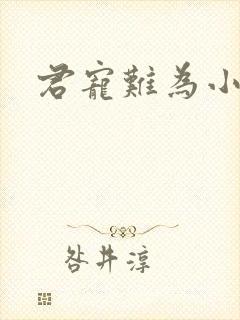 君宠难为小说