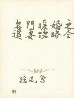 名门暖婚之权爷追妻攻略全文免费阅读