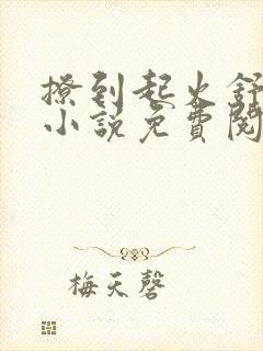撩到起火舒漾的小说免费阅读全文