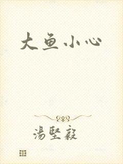 大鱼小心封面