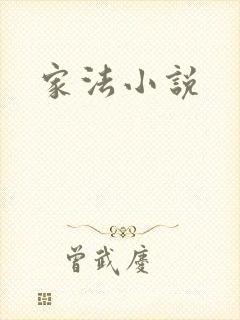 家法小说