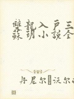 双龙入户三人行苏玥小说全文阅读