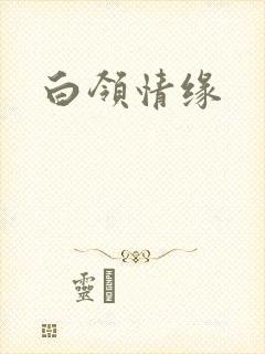 白领情缘封面