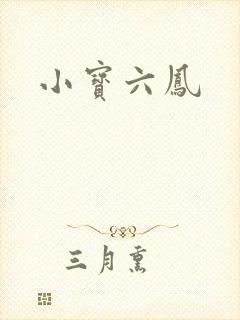 小宝六凤