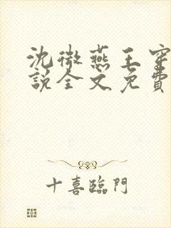 沈微燕王穿越小说全文免费阅读封面