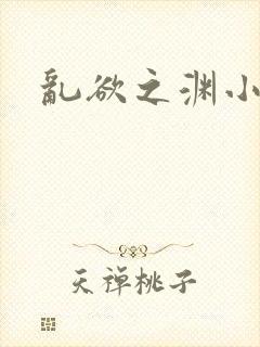 乱欲之渊小说