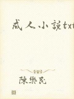 成人小说txt