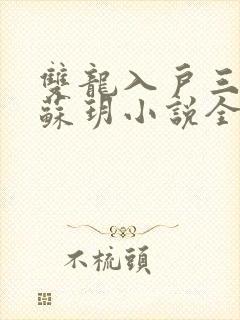 双龙入户三人行苏玥小说全文阅读封面