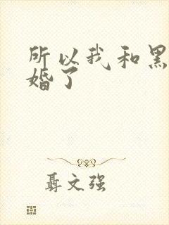 所以我和黑粉结婚了