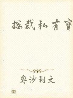 总裁私有宝贝