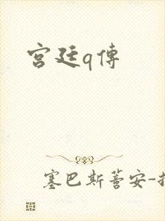 宫廷q传