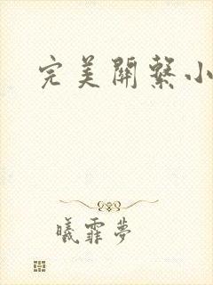 完美关系小说