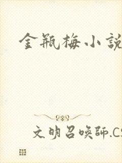 金瓶梅小说下载