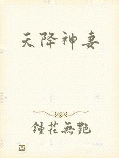天降神妻