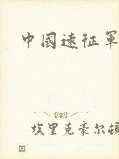 中国远征军小说