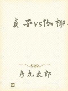贞子vs伽椰子封面