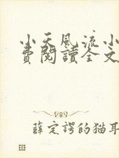 小天风流小说免费阅读全文最新章节