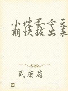 小坏蛋今天危险期快拔出来