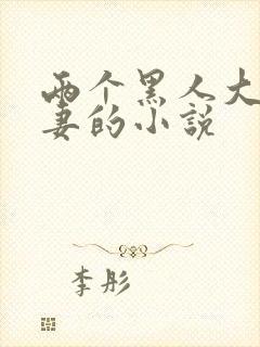 两个黑人大战娇妻的小说封面