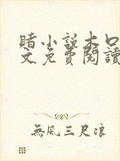 赌小说木口银全文免费阅读笔趣阁
