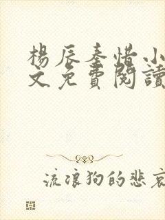 杨辰秦惜小说全文免费阅读最新封面