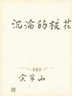 沉沦的校花封面