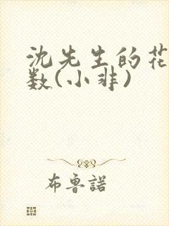沈先生的花式调数(小非)