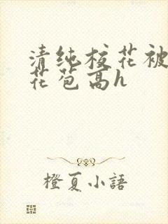 清纯校花被迫开花苞高h封面