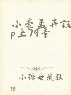 小豪孟卉钰慧三p上79章