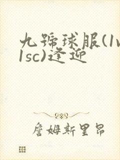 九号球服(1v1sc)逢迎