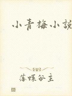 小青梅小说