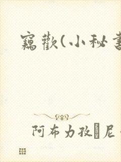 窃欢(小秘书)封面