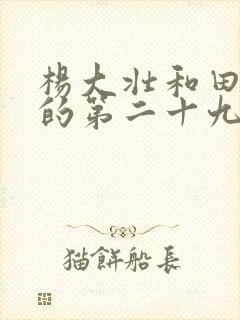 杨大壮和田桂花的第二十九