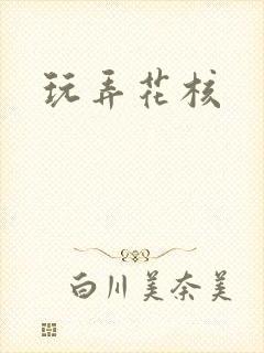玩弄花核封面