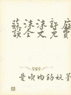 苏沫沫许庭川小说全文免费阅读