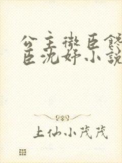 公主微臣馋了微臣沈妤小说
