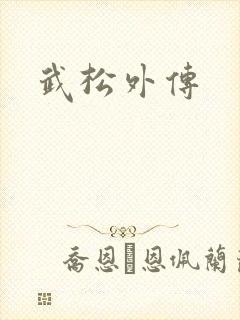 武松外传