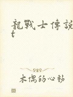 龙战士传说txt